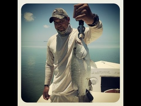 Florida - My latest fishing / vacation trip to the beautiful florida keys. Special thanks to Fishermandepot.com for supplying the fishing tackle and to Captain David I...