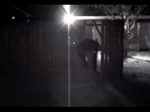 Fence Plowing