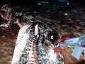 Rambo vs a T-REX!!!