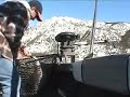 Lake Tahoe Mackinaw Downrigger Fishing