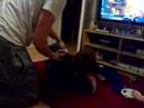 Theo and Martyn Fighting