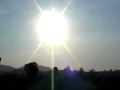 Sunrise in Cambodia