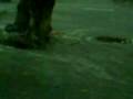 videos de Alagamento avenid ibijau moema São paulo