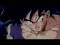 vegeta velocizzato