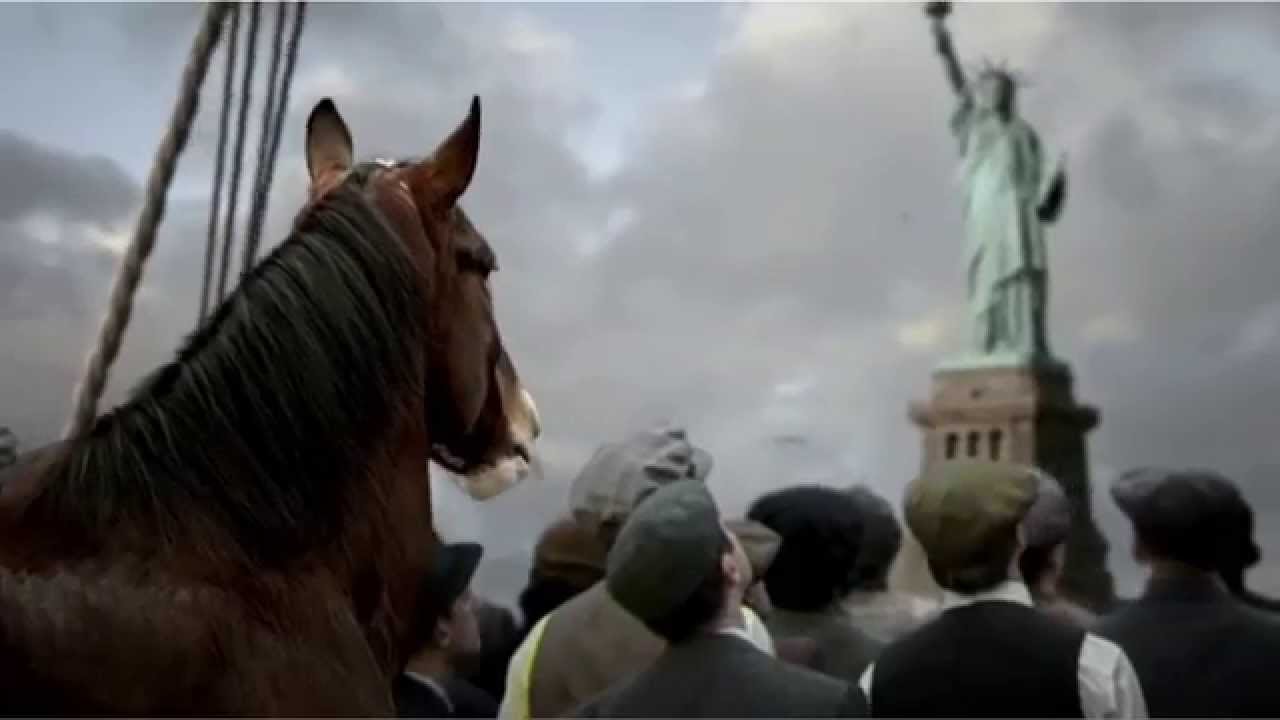Every Budweiser Clydesdale Commercial Since 1996 HORSE NATION