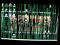 fondo tipo matrix fondo tipo matrix