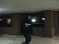 COGLIONI UCCISIONI E PORTICATO