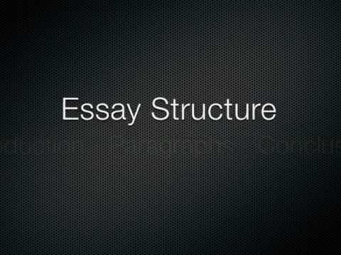 how to properly write a essay