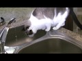 Egon Attacks Water UNEDITED (Camera 1)