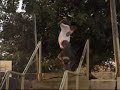 Big Gaps, Re-edit