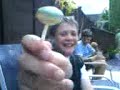 lolipop !
