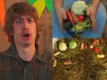 Les Beaux Légumes