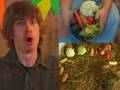 Les Beaux Légumes
