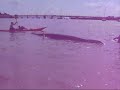 videos kayak