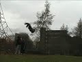 Street Stunts
