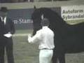 KFPS Friesian Stallion Tsjerk 328