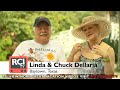Bahamas Vacations - The Taino Beach Resort - RCI Timeshares