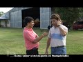 ideas de un emprendedor prog 13 parte 1