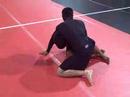 Beginner Grappling Finals Beginner Grappling Finals