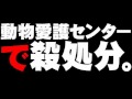 動物愛護センターでの犬・猫の殺処分について。- 2011.01.21