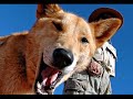 us-elections-2008-madrigal-political-parody.html