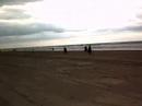 ijslander strand icelandic