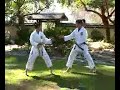 Elisa Au Secrets of Championship Karate KIHON