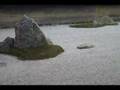 Japanese nature (What can you see in this garden?)