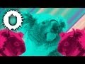 Koala (Official Video) 