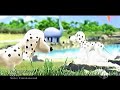 dorlis-taiyou-no-scat.html