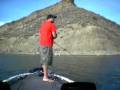 videos de Striped Bass/Striper Fishing...Wide Open!