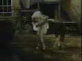 Patrick McGoohan Horse Trick