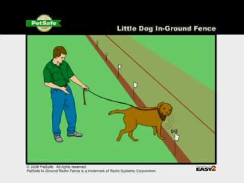 how to troubleshoot petsafe wireless fence