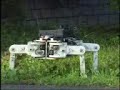 hybrid walking robot