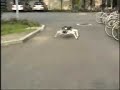 hybrid walking robot