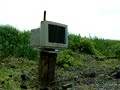 410 shotgun vs. an apple monitor