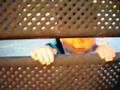 videos de ceejy at the park