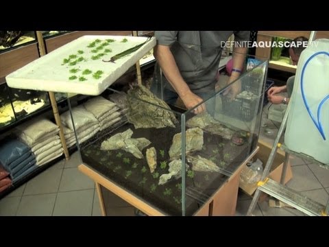 how to attach aquarium moss to rock