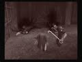 mgs3:snakes wierd dream
