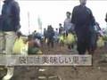 新潟まつり動画10