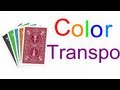 "Color Transpo" Performance (Original)