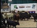 2002 NCHA Futurity Open Champion