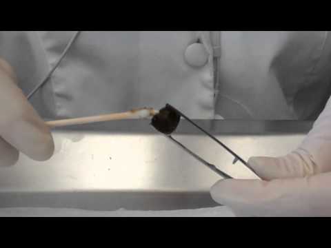 how to isolate intestinal epithelial cells