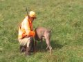 2009_Fall_Homer on hunttraining in USA