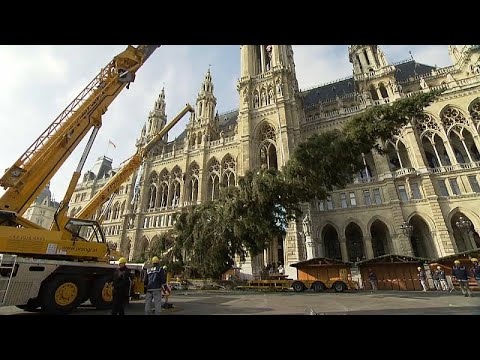 Wien: Zum Christkindlmarkt in kurzen Hosen?