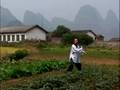 Tai Chi at Guilin Mountains