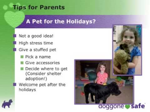 Holiday Child & Pet Safety Tips Holiday Child & Pet Safety Tips