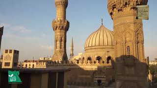 الأسبوع الأول - المحاضرة #2: فضل علم المنطق ونسبته