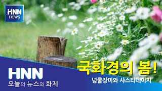 국화경의 봄