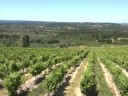0 Dao, región vinícola en Caramulo